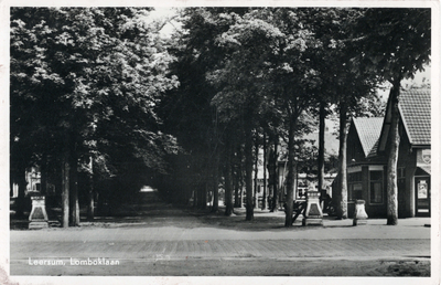 10988 Gezicht in de Lomboklaan met ingang en hekpalen aan de Rijksstraatweg te Leersum uit het zuidwesten. N.B. De ...